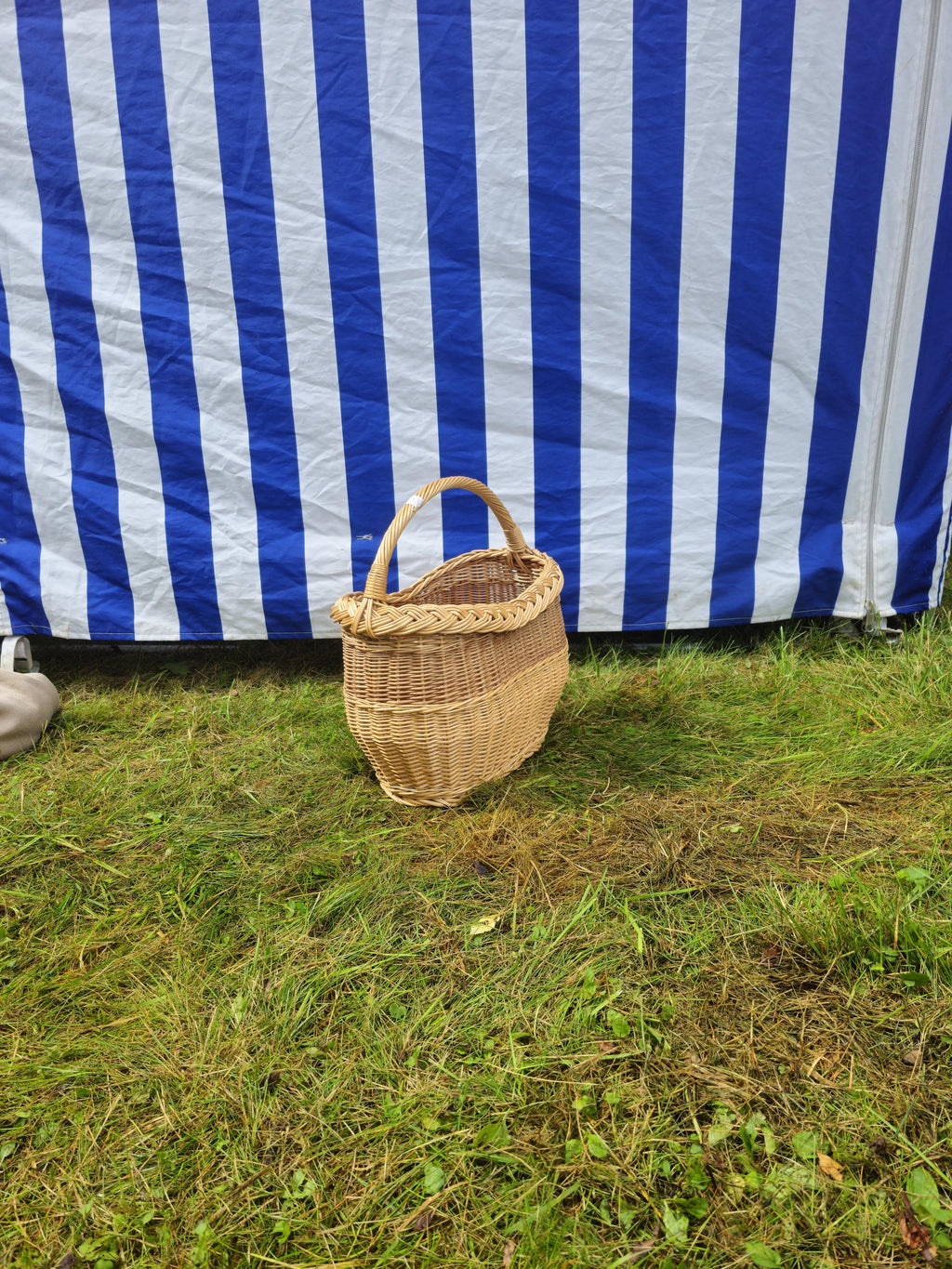 Wicker Oval Basket with Braided Rim – Small Handwoven Willow Basket