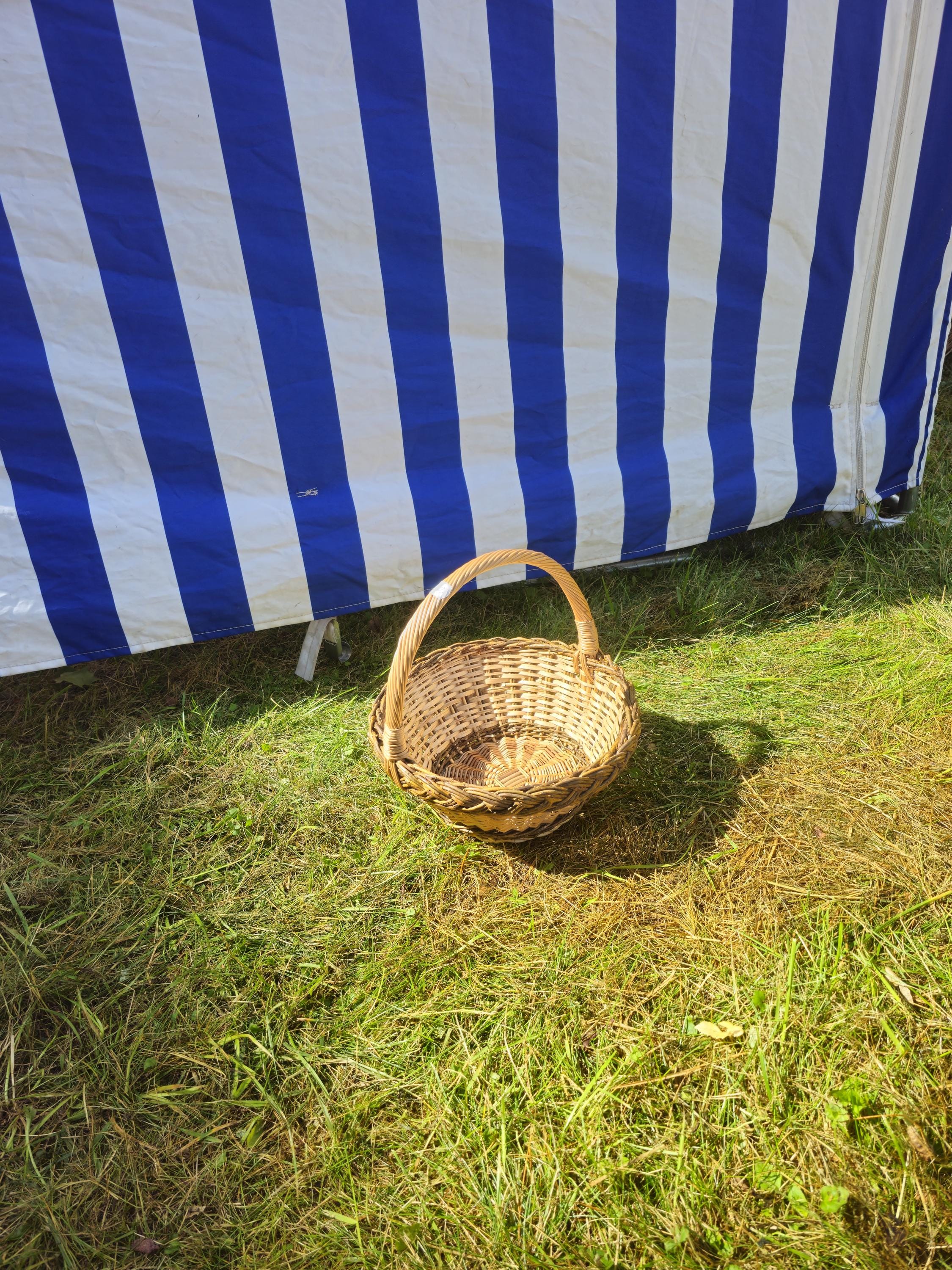 Wicker Basket with Sturdy Handle | Rustic Oval Willow Basket for Storage or Gifts