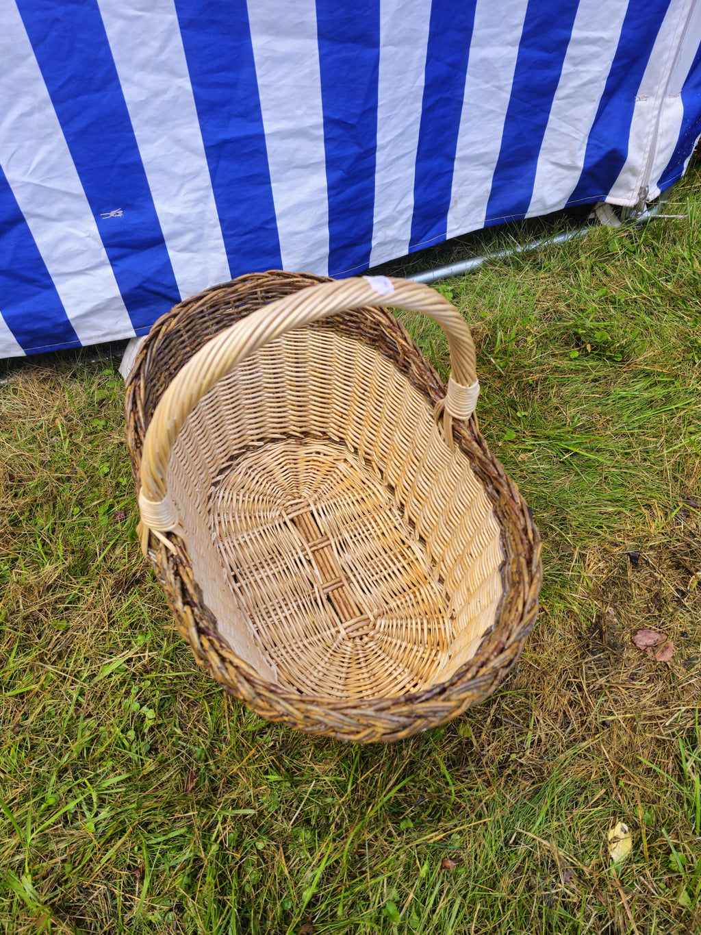 Wicker Oval Basket with Rustic Dark Rim – Handwoven Willow Foraging Basket