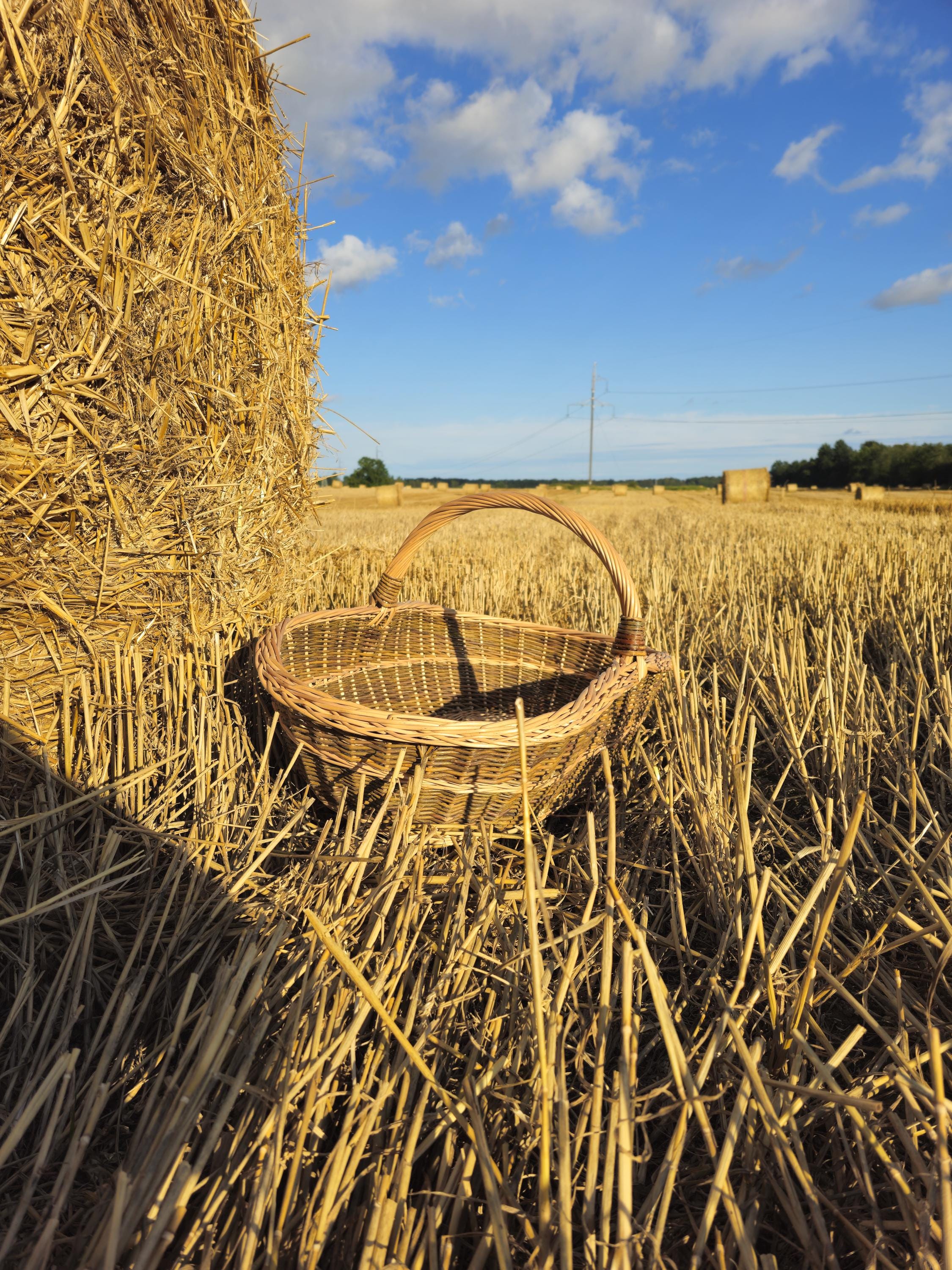 Handwoven Willow Trug Basket: Extra Large Foraging & Rustic Decor