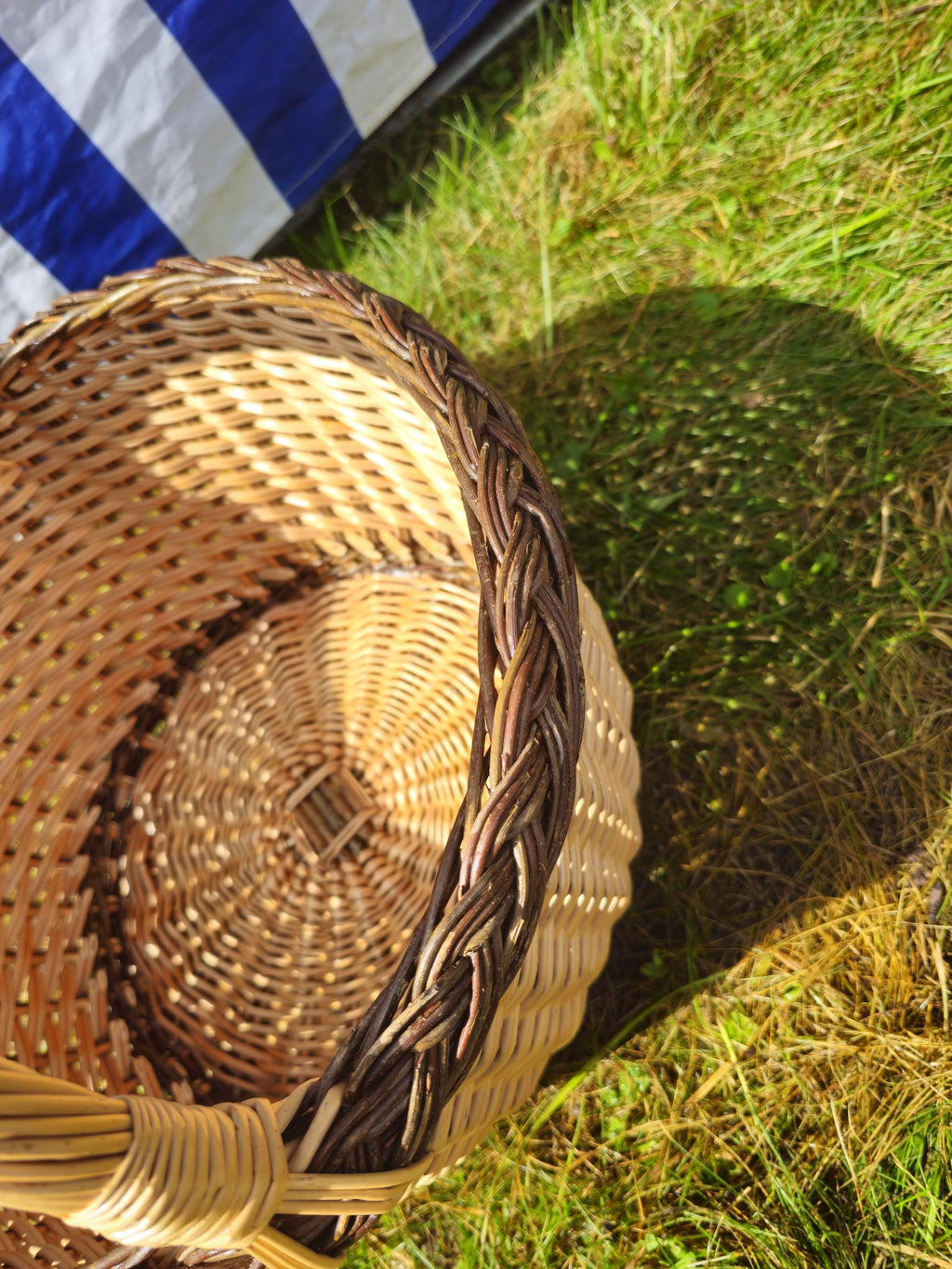 Wicker Mushroom Basket with Braided Rim – Handwoven Foraging Basket