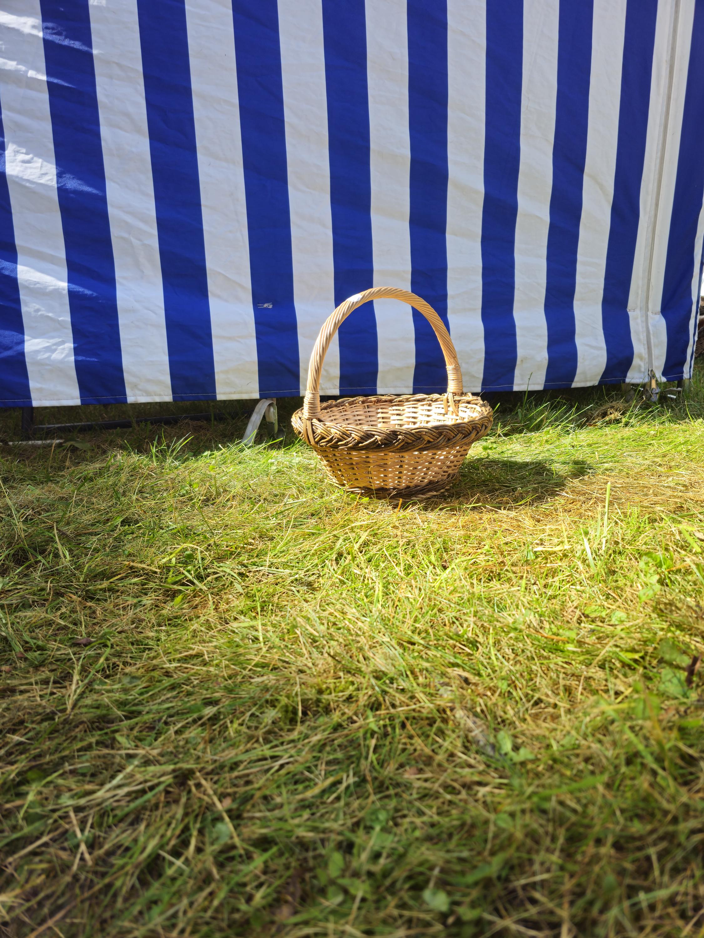 Wicker Basket with Sturdy Handle | Rustic Oval Willow Basket for Storage or Gifts