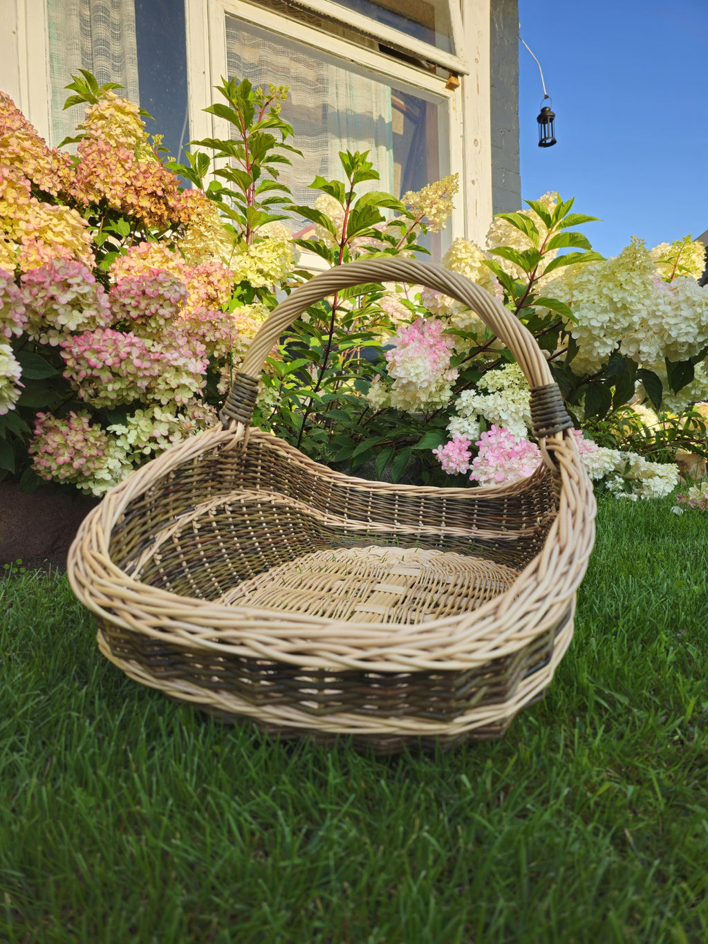Extra-large Wicker Basket | Two-Tone Willow Trug for Foraging & Flower Gathering | Rustic Farmhouse Decoration