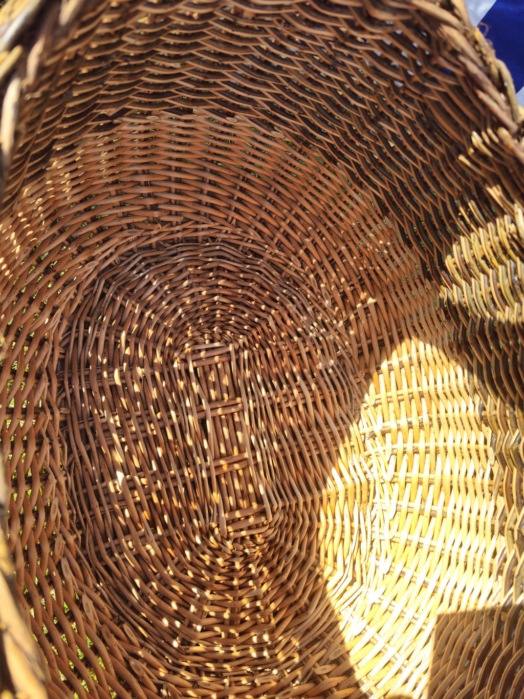 Wicker Mushroom Basket with Braided Rim – Handwoven Foraging Basket