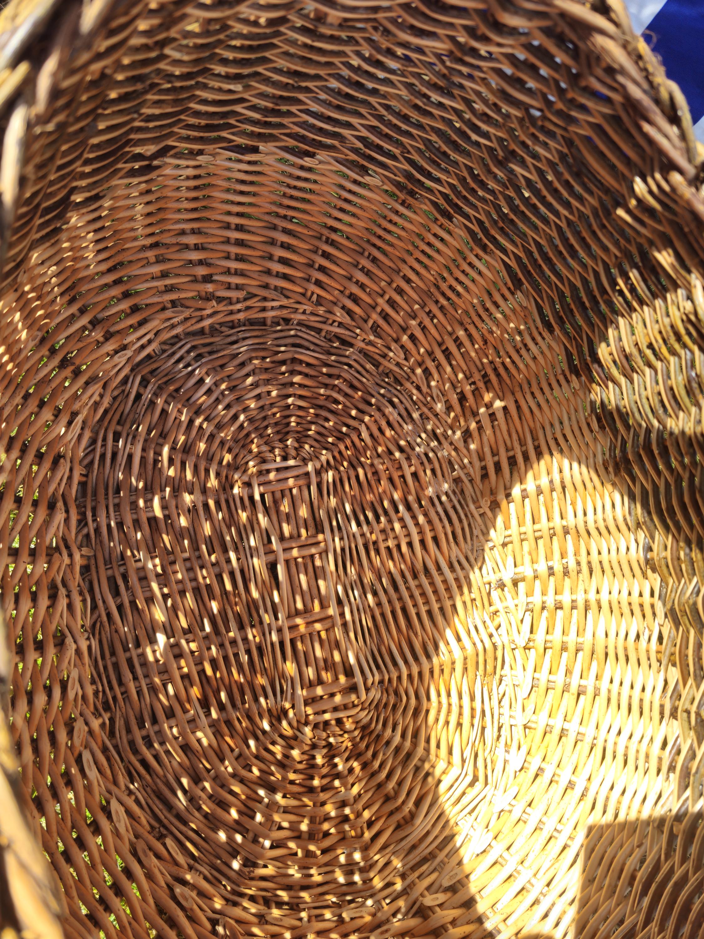 Wicker Mushroom Basket with Braided Rim – Handwoven Foraging Basket