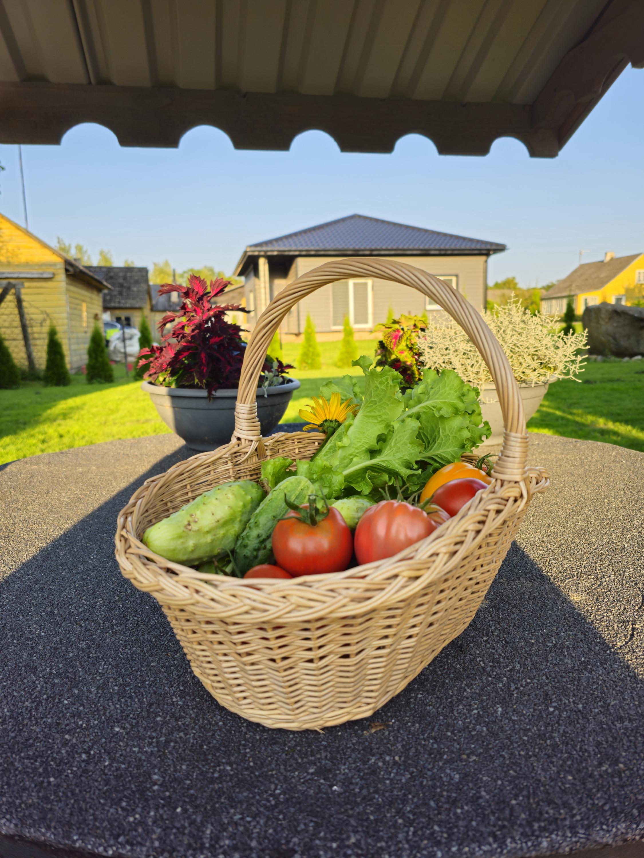 Handwoven Willow Basket: Farmhouse Decor & Bread Storage