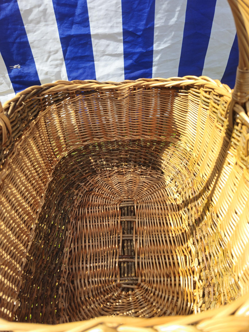 Wicker Mushroom Basket with Thick Braided Edge – Traditional Handwoven Foraging Basket
