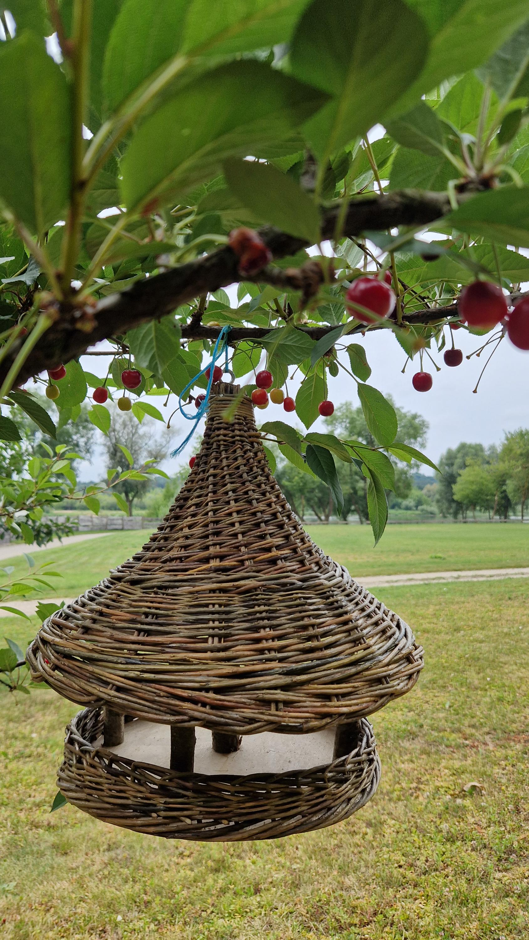 Handwoven Wicker Bird Feeder | Rustic Hanging Garden Art | Natural Wicker Shelter | Handmade Lithuanian Craft
