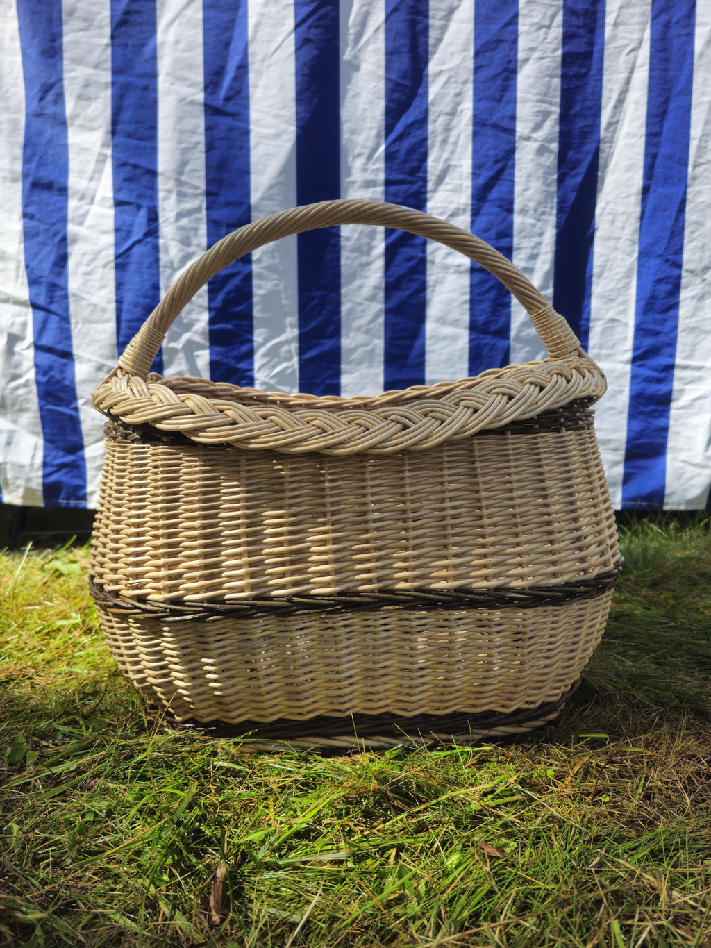 Wicker Oval Basket with Braided Rim – Medium Handwoven Willow Basket
