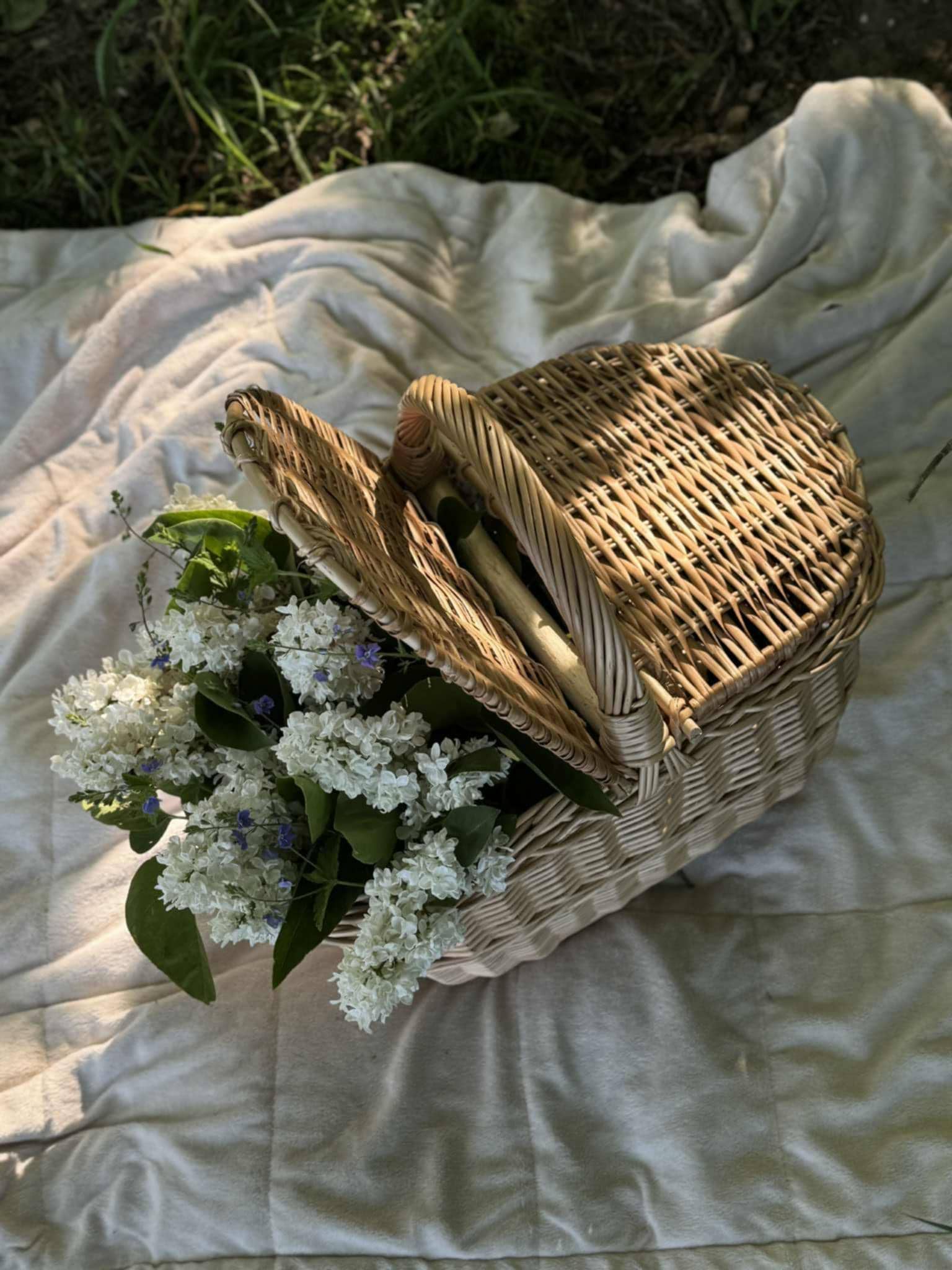 Large Wicker Picnic Basket: Handmade Willow Cottagecore Basket