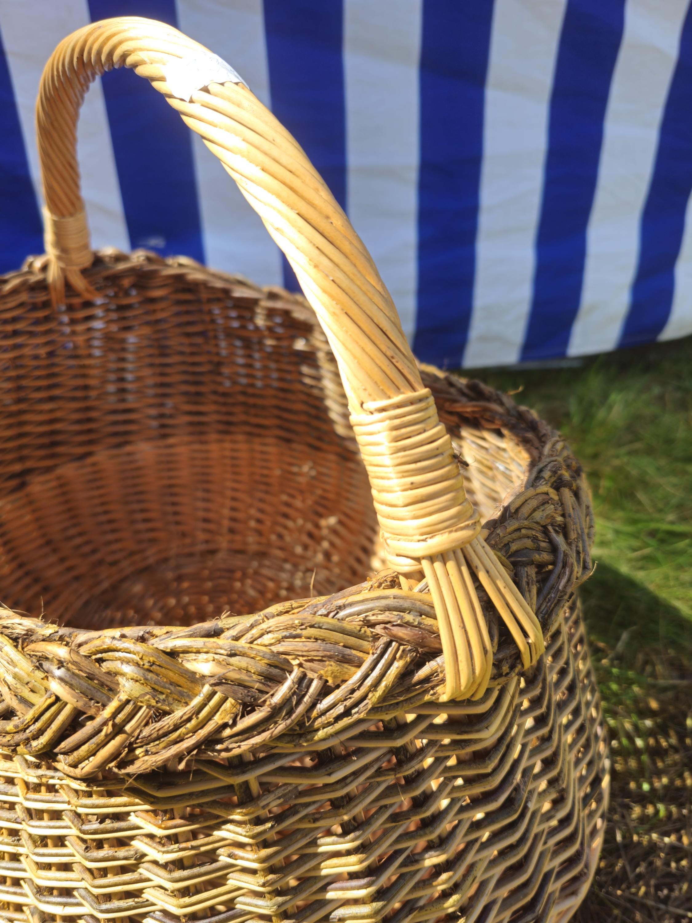 Wicker Mushroom Basket with Braided Rim – Handwoven Foraging Basket