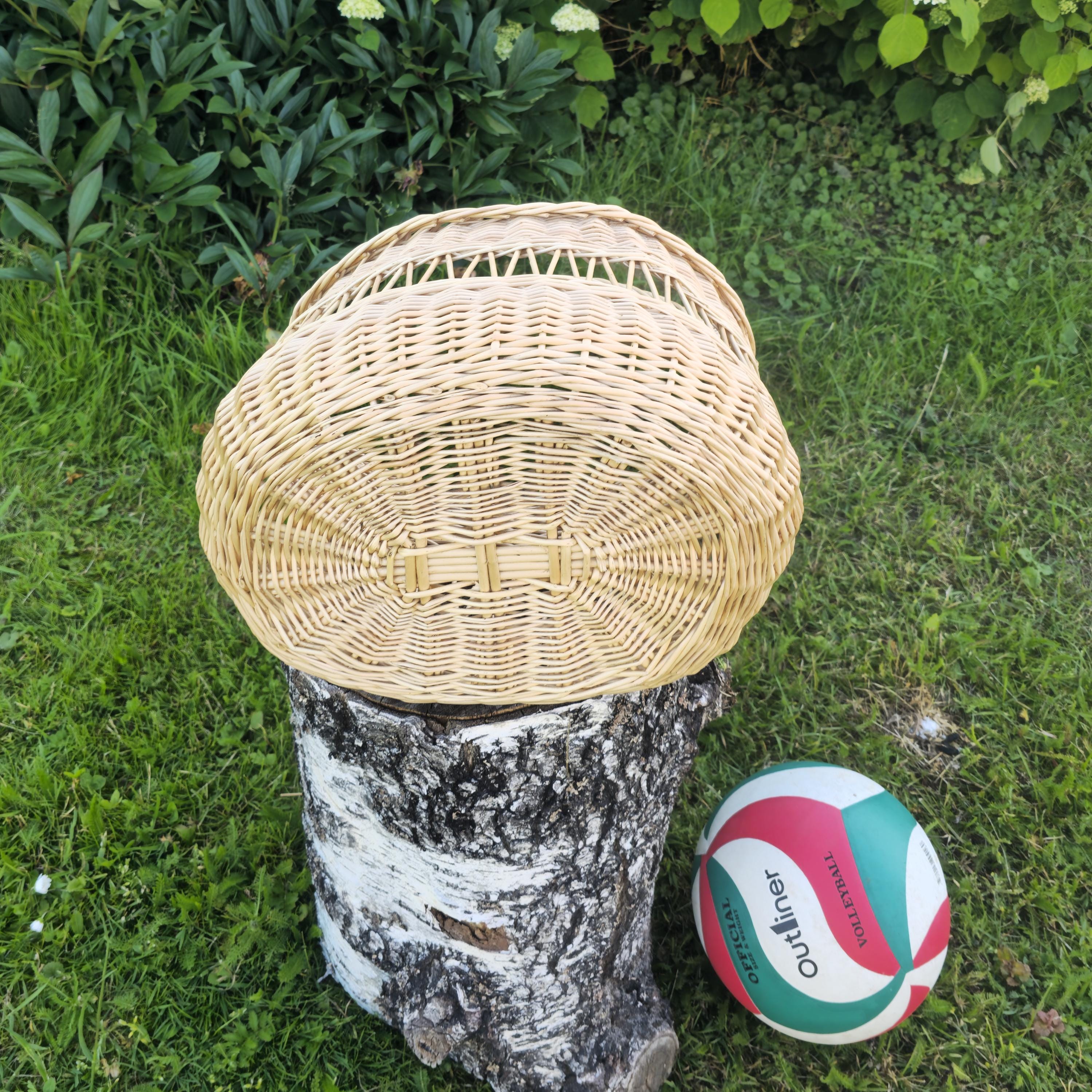 Handwoven Willow Foraging Basket: Rustic Cottagecore Decor, Handmade in Lithuania
