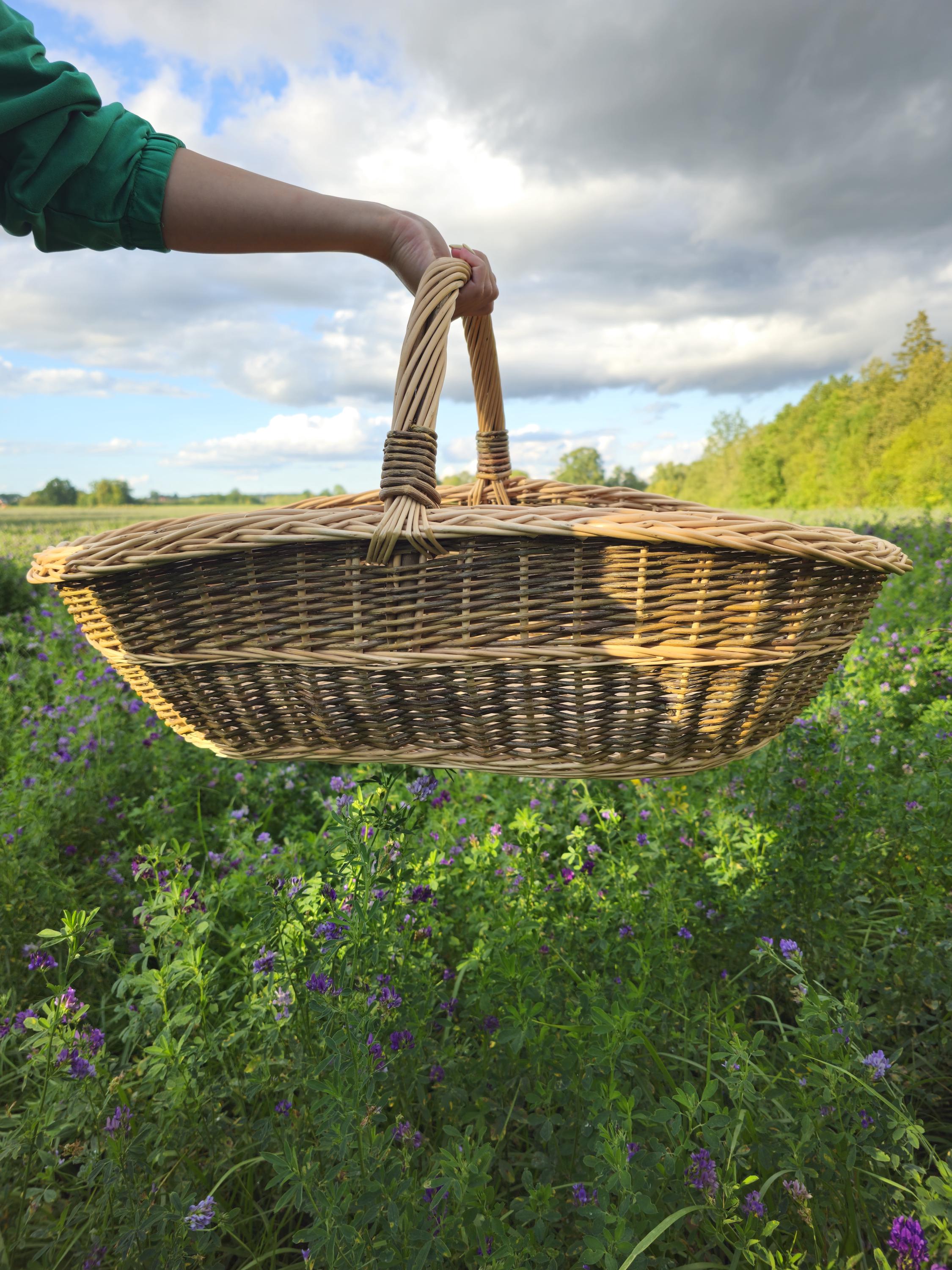 Handwoven Willow Trug Basket: Extra Large Foraging & Rustic Decor