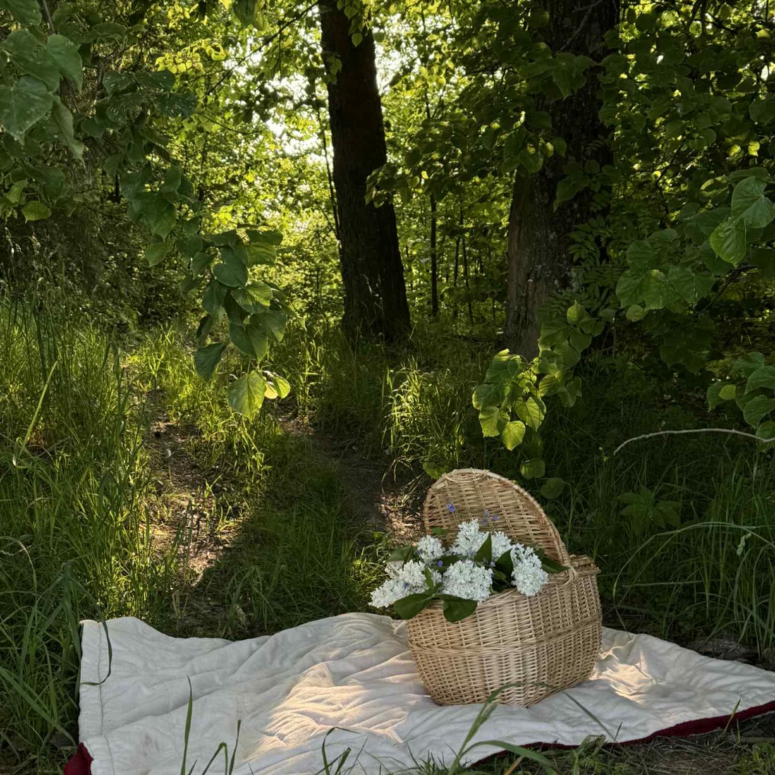 Large Wicker Picnic Basket: Handmade Willow Cottagecore Basket