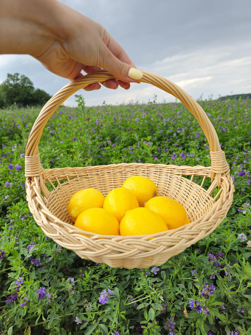 Handwoven Willow Trug Basket: Rustic Wedding & Home Display