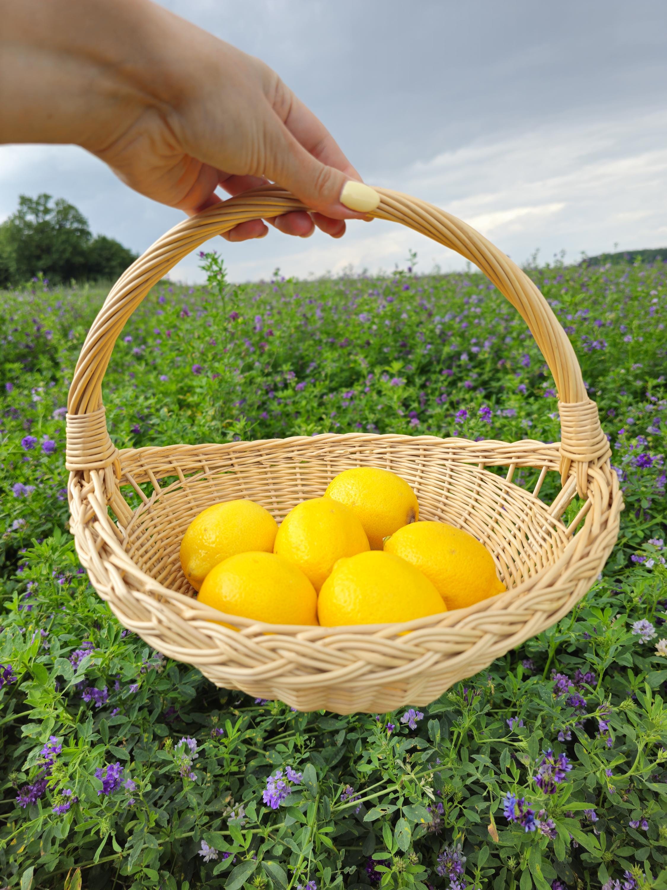 Handwoven Willow Trug Basket: Rustic Wedding & Home Display