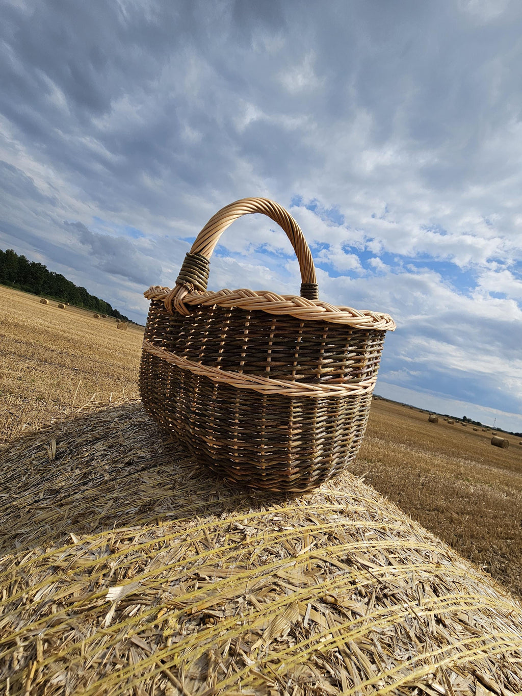 Handmade Wicker Basket with Handle: Rustic Farmhouse Decor from Lithuania