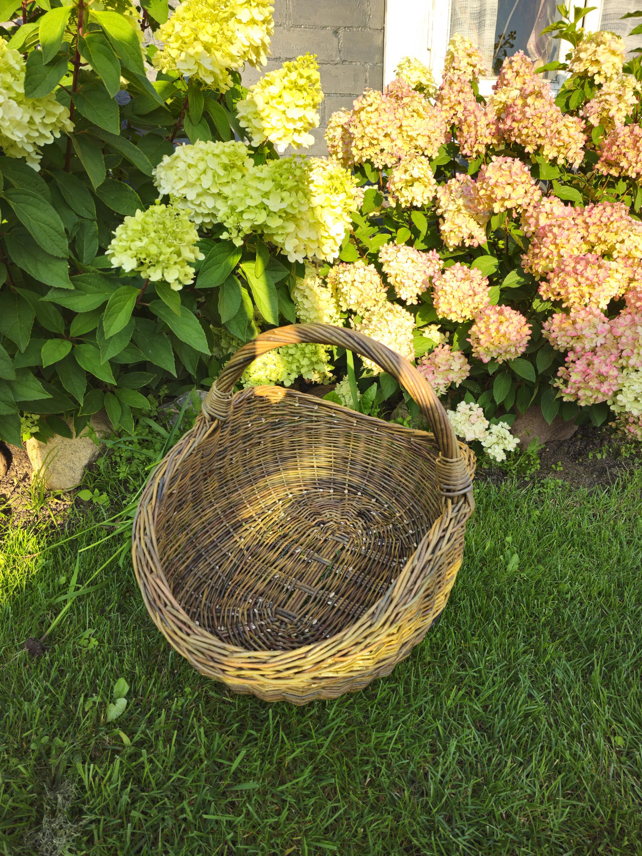 Handwoven Unpeeled Willow Basket: Rustic Gathering & Harvest Basket