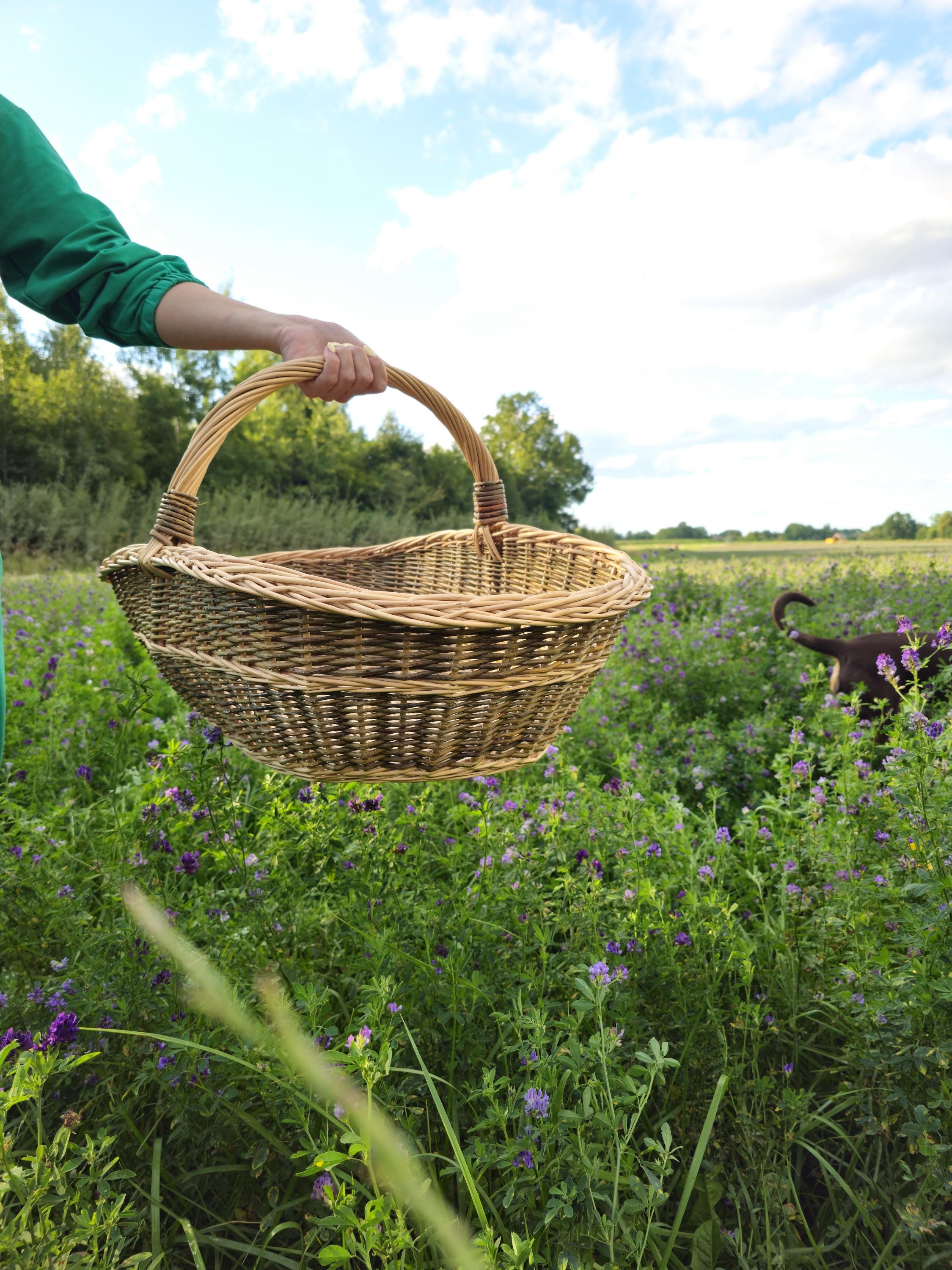 Handwoven Willow Trug Basket: Extra Large Foraging & Rustic Decor