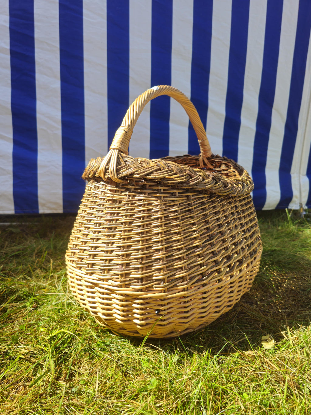 Wicker Mushroom Basket with Braided Rim – Handwoven Foraging Basket