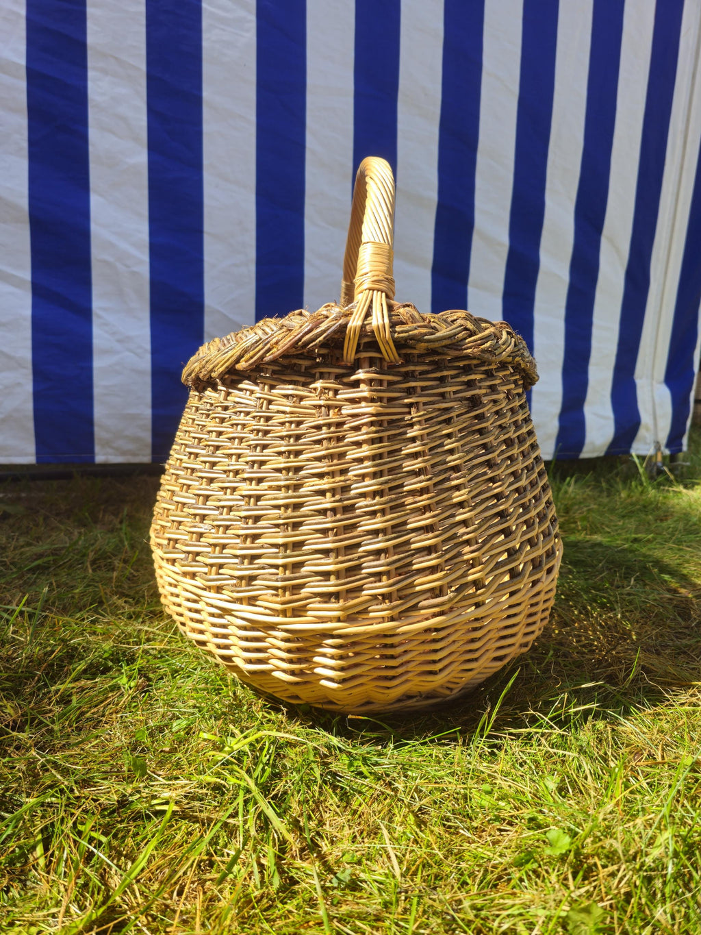 Wicker Mushroom Basket with Braided Rim – Handwoven Foraging Basket